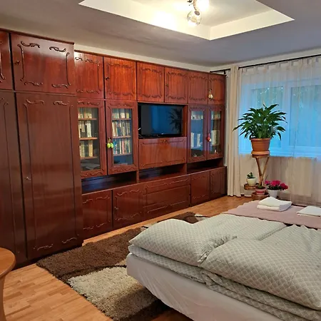 Deny Apartman Sfantu Gheorghe (Covasna) Exterior photo