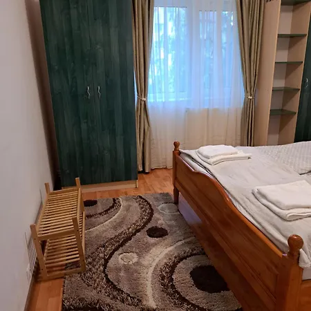 Deny Apartman Sfantu Gheorghe (Covasna) Exterior photo